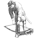 Arbalète